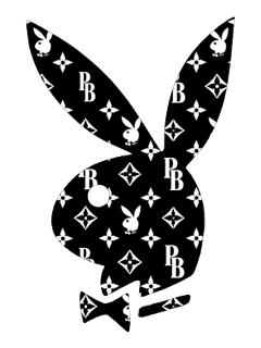 I loVe PlAyBoY!!